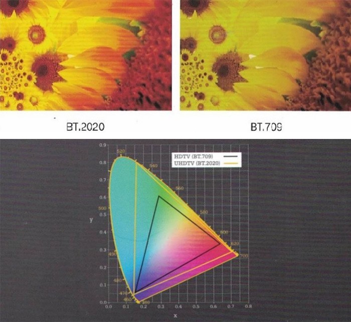 真彩色 色彩逼真